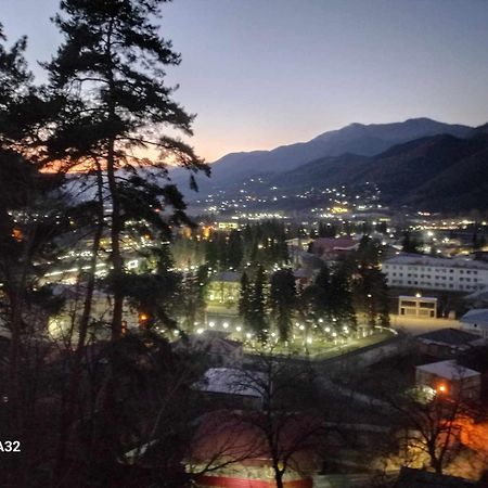 Brotseulebi Hotel Ambrolauri Bagian luar foto