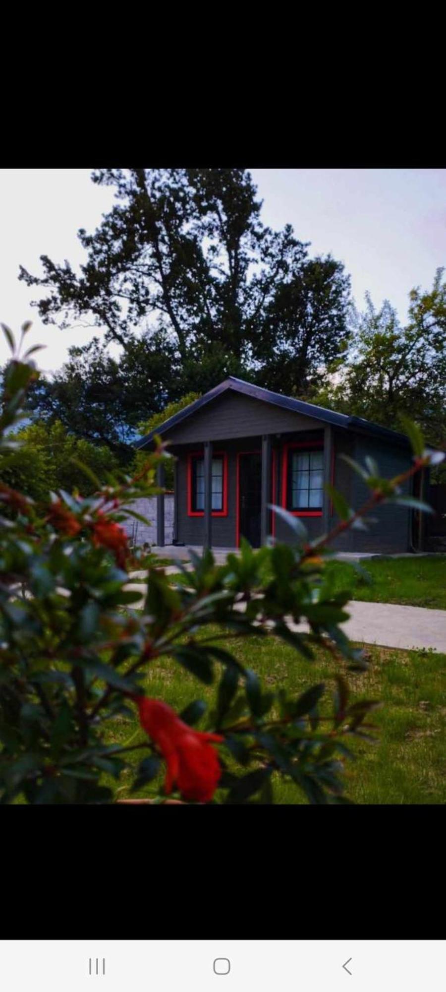 Brotseulebi Hotel Ambrolauri Bagian luar foto